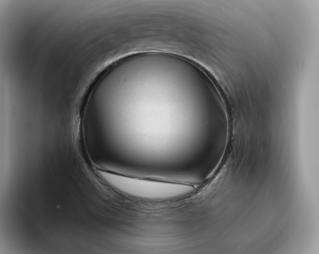 X0000094191507200711091151