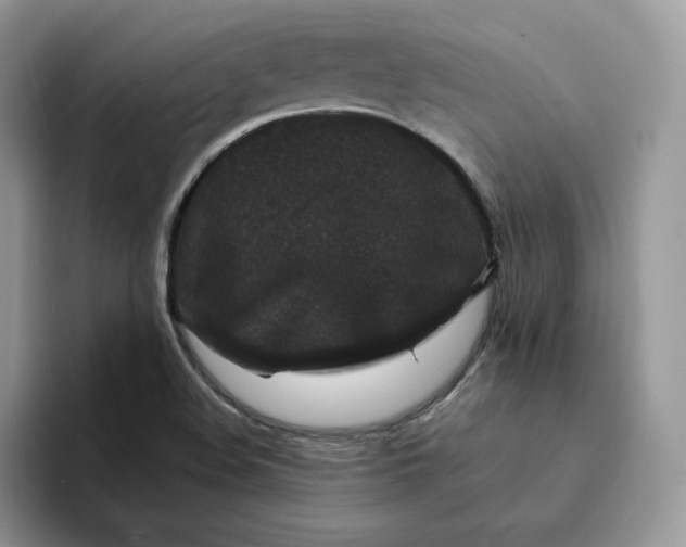 X0000094191508200711091151