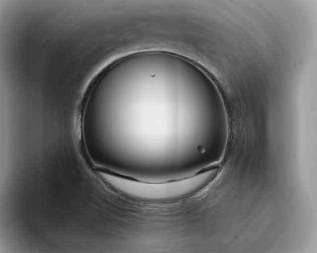 X0000094191510200711091151