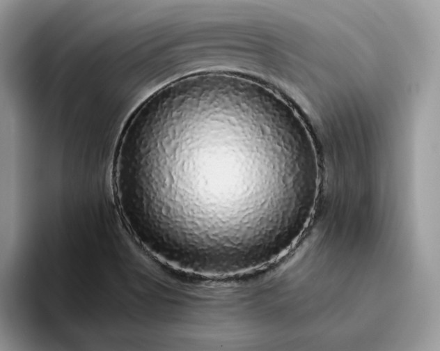 X0000094191513200711091151