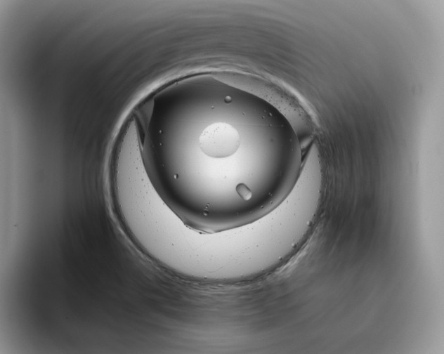 X0000094191514200711091151