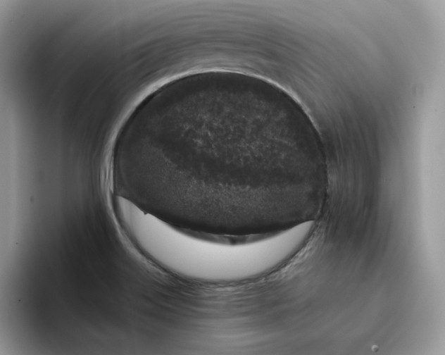 X0000094191515200711091151