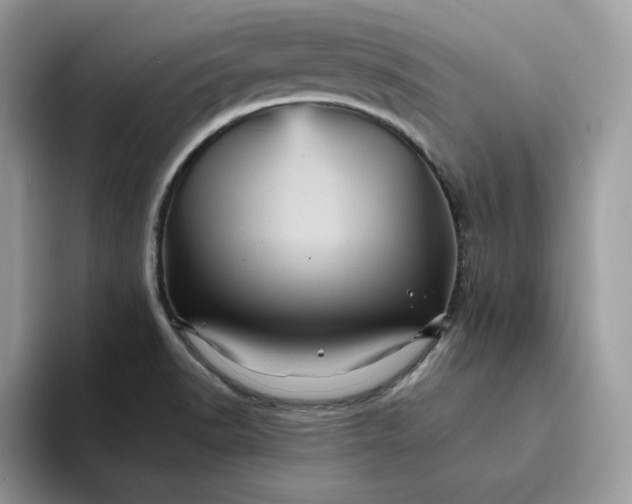 X0000094191518200711091151