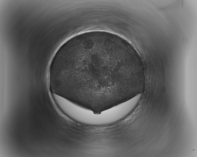 X0000094191519200711091151