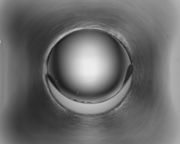 X0000094191520200711091151