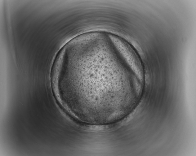 X0000094191521200711091151