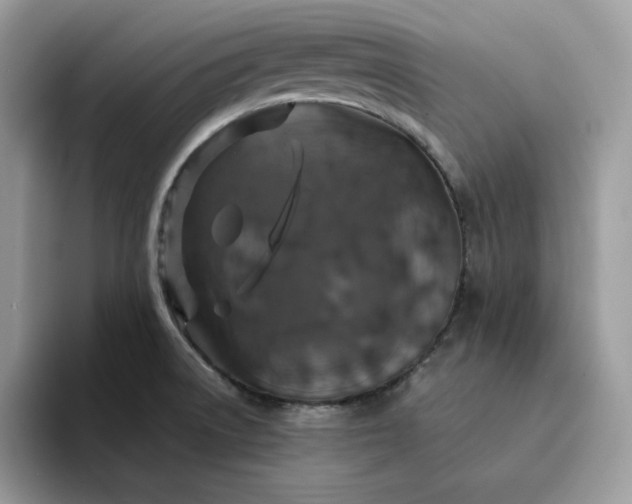 X0000094191522200711091151