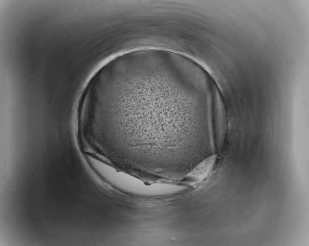 X0000094191523200711091151