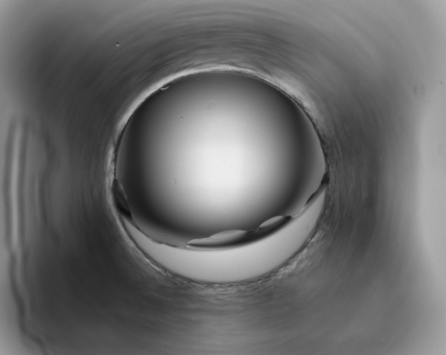 X0000094191524200711091151