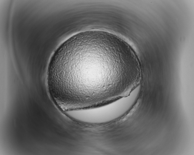 X0000094191525200711091151