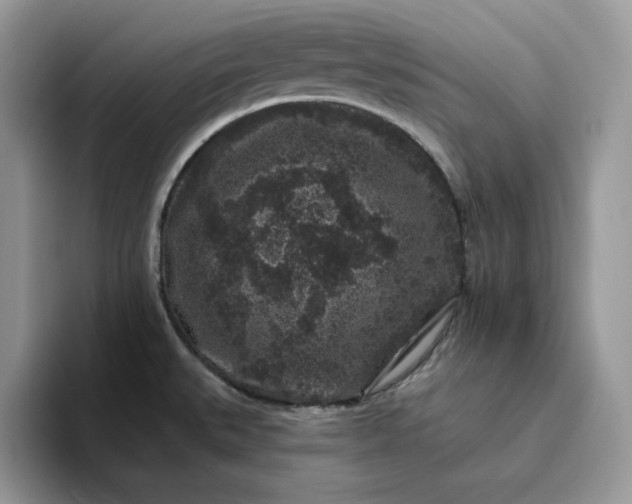 X0000094191527200711091151