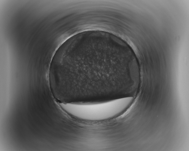 X0000094191529200711091151