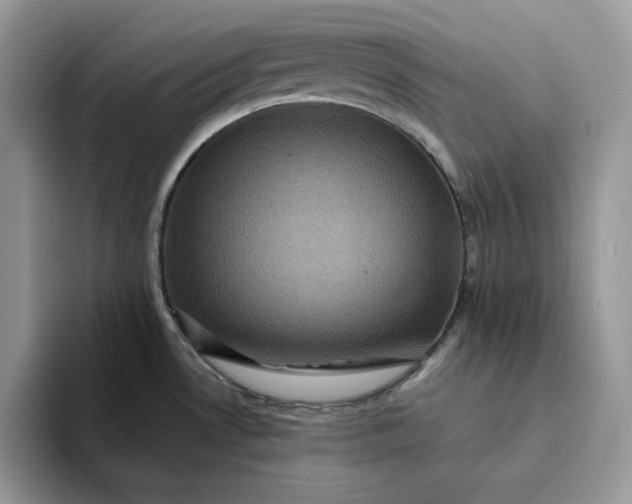 X0000094191530200711091151