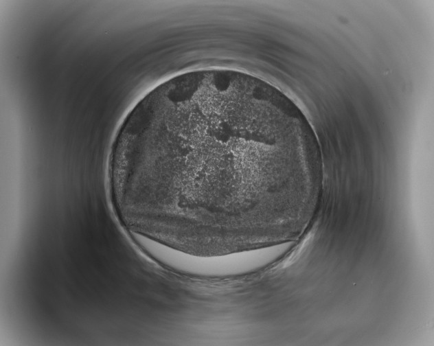 X0000094191533200711091151