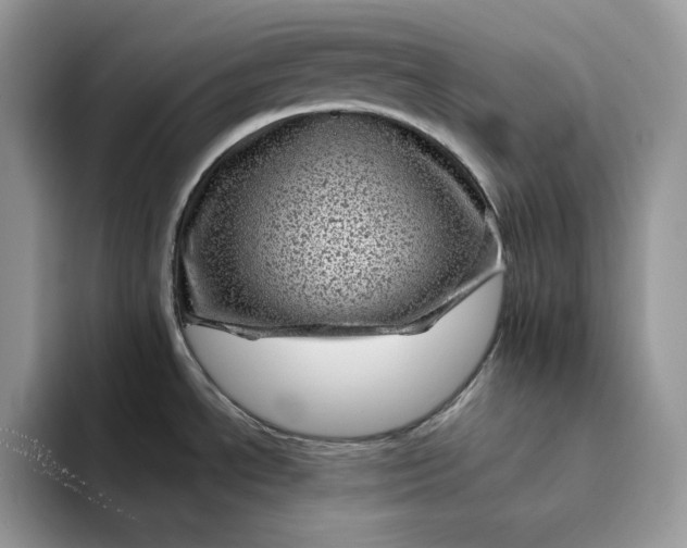 X0000094191534200711091151