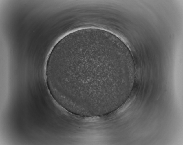 X0000094191535200711091151