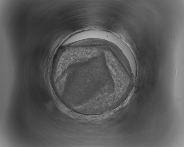 X0000094190001200711161757