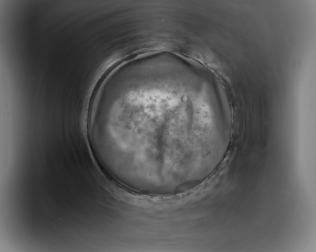 X0000094190003200711161757