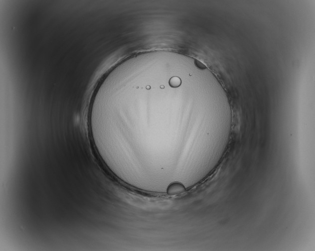 X0000094190004200711161757