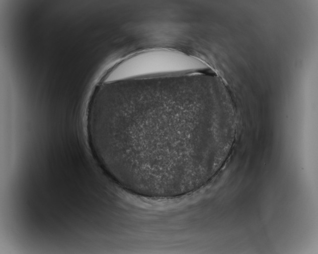 X0000094190006200711161757