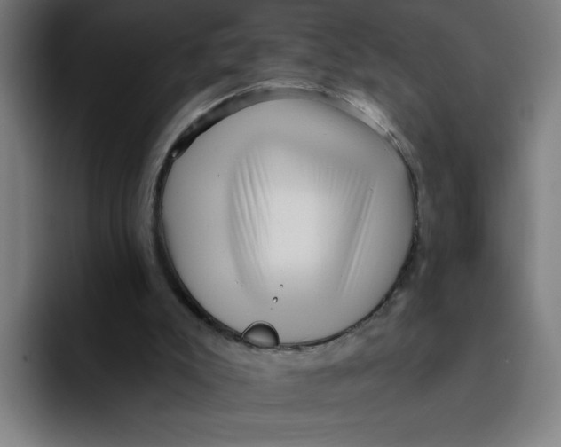 X0000094190007200711161757