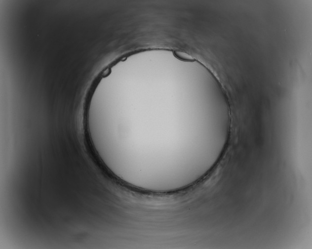 X0000094190008200711161757