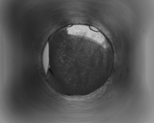 X0000094190009200711161757