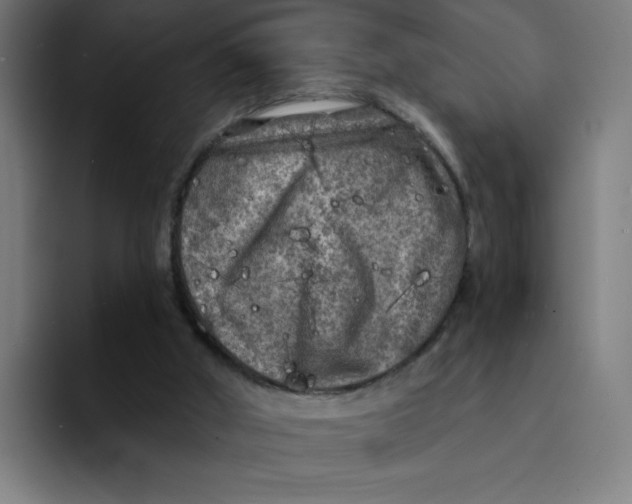 X0000094190010200711161757