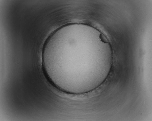 X0000094190011200711161757