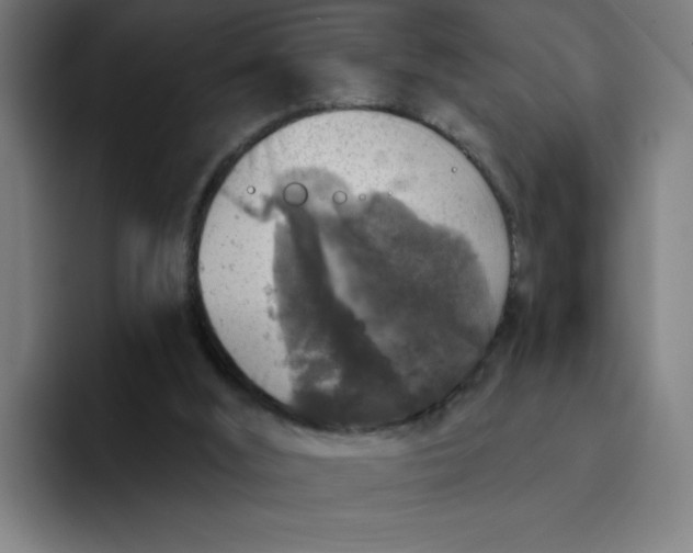 X0000094190012200711161757