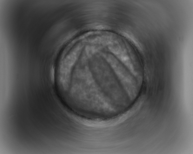 X0000094190014200711161757