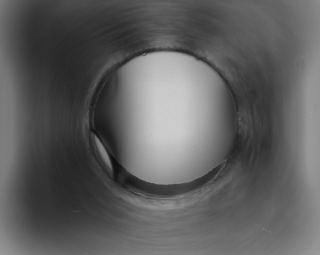 X0000094190015200711161757