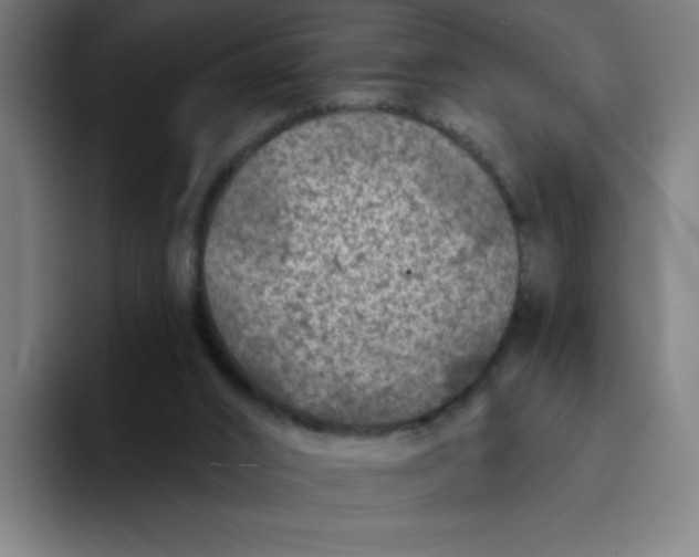 X0000094190016200711161757