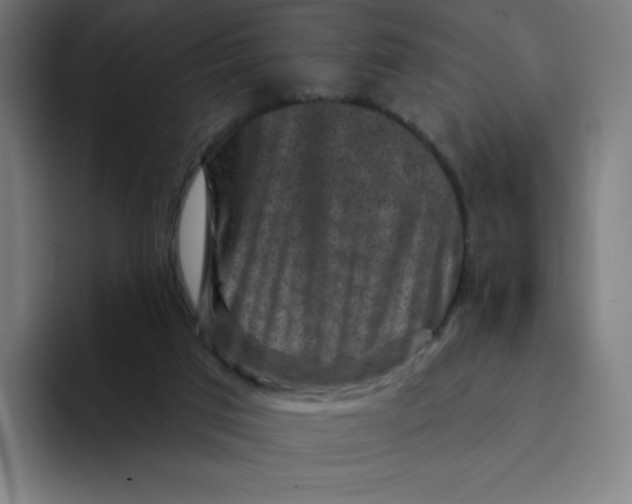 X0000094190017200711161757