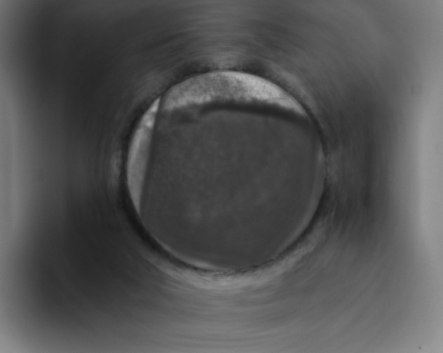 X0000094190018200711161757