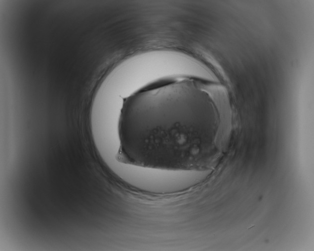 X0000094190019200711161757