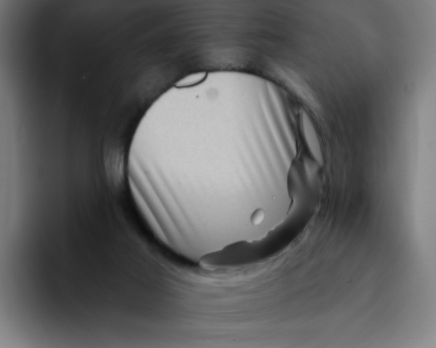 X0000094190021200711161757