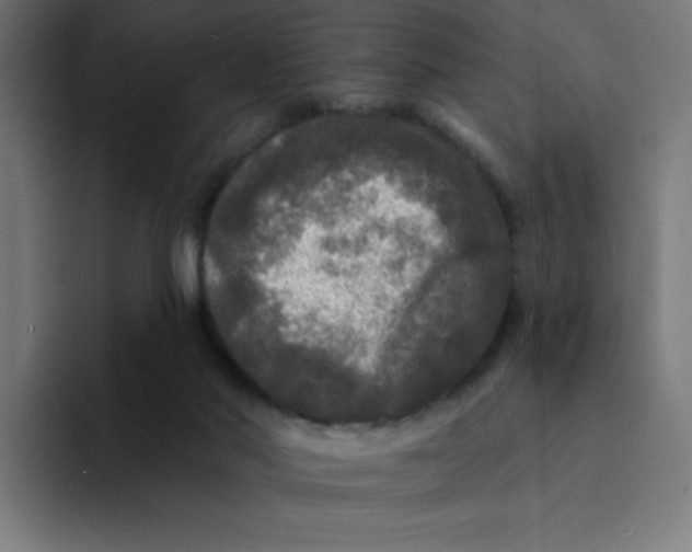 X0000094190022200711161757