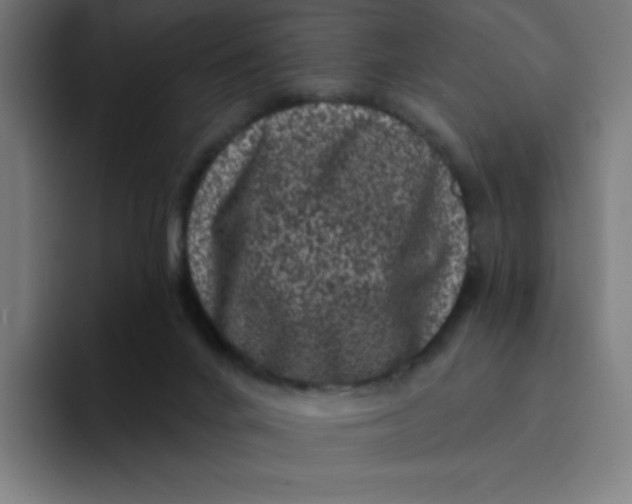 X0000094190024200711161757