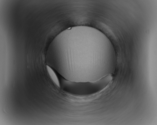 X0000094190025200711161757