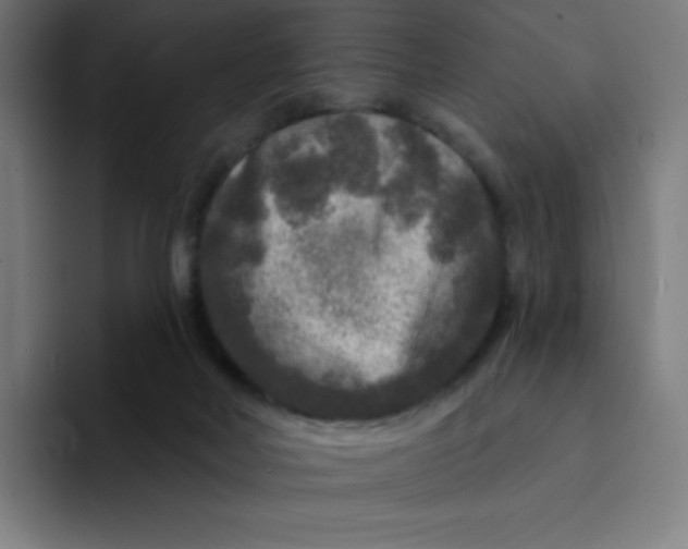 X0000094190026200711161757