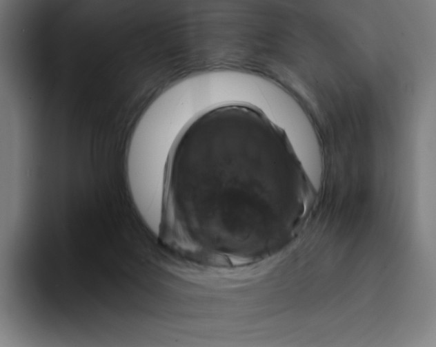 X0000094190027200711161757