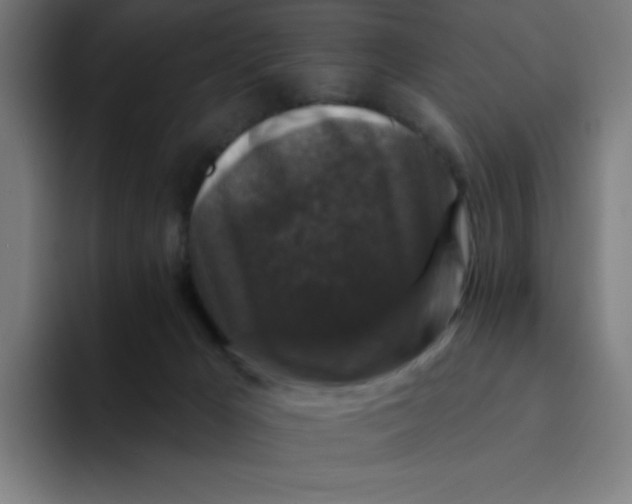 X0000094190029200711161757