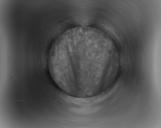 X0000094190030200711161757