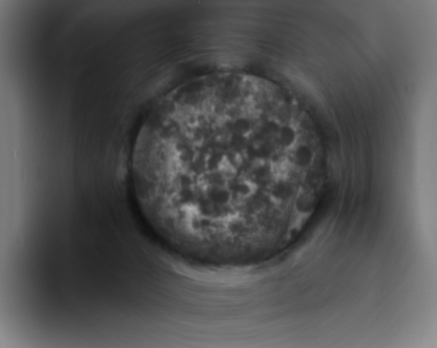 X0000094190032200711161757