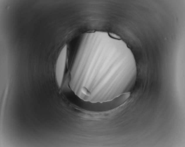 X0000094190033200711161757