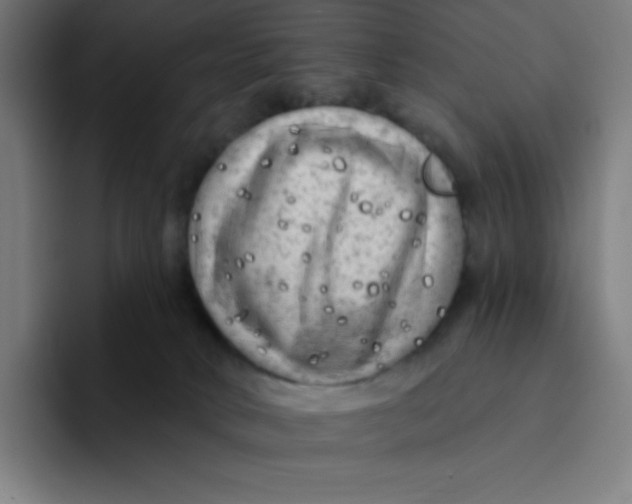 X0000094190034200711161757