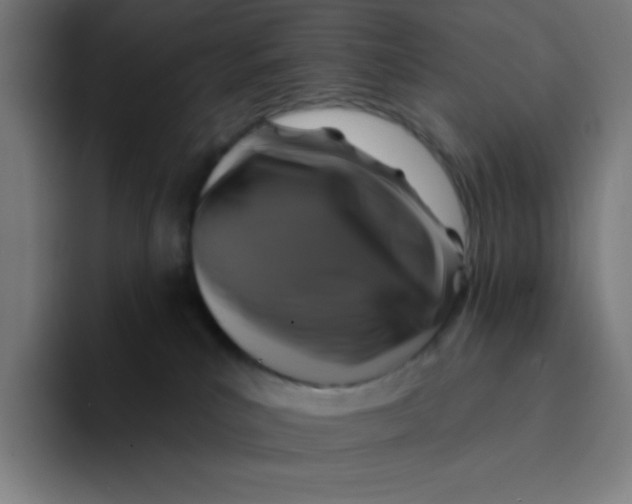 X0000094190039200711161757