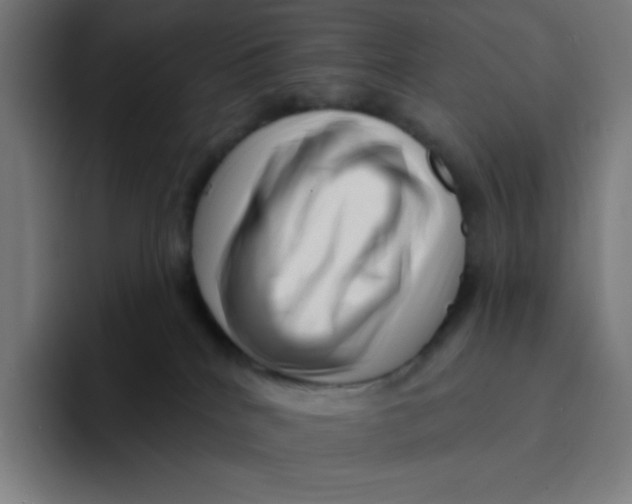 X0000094190040200711161757