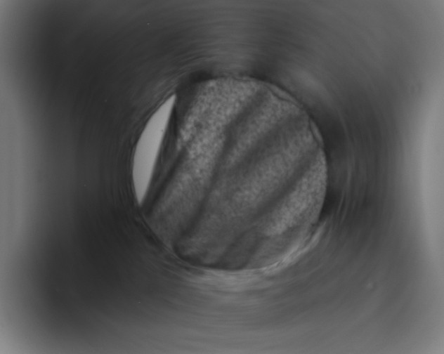 X0000094190041200711161757